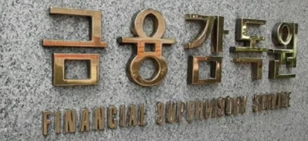 (사진=금융감독원)