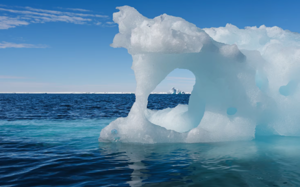 (사진=슈미트 해양 연구소(Schmidt Ocean Institute))