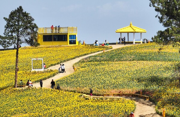 한국섬진흥원(KIDI)은 14일 전남 신안에 소재한 선도를 ‘4월, 이달의 섬’으로 선정됐다.