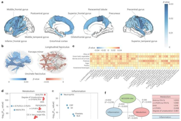 (사진=Nature Human Behavior)