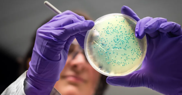 (사진=게티이미지)