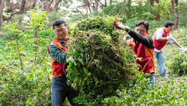 ▲ 지난 1일 남산공원 소래풀군락지에서 유해식물 제거 활동을 펼치고 있는 이호정 SK네트웍스 대표이사(왼쪽)
