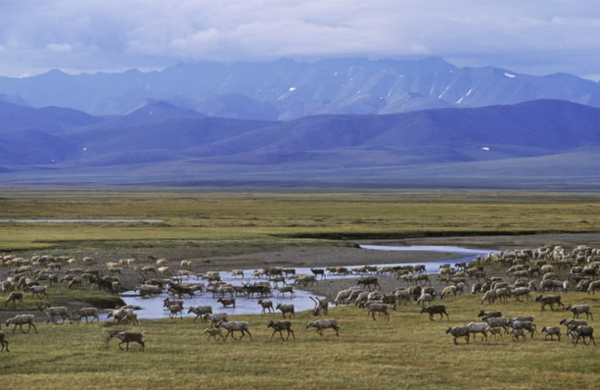 (사진=Rex/Shutterstock)