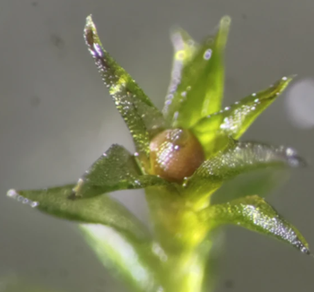 (사진=후지타 토모미치(Tomomichi Fujita))